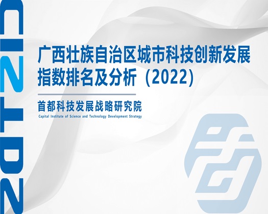 最黄的大屌操逼【成果发布】广西壮族自治区城市科技创新发展指数排名及分析（2022）